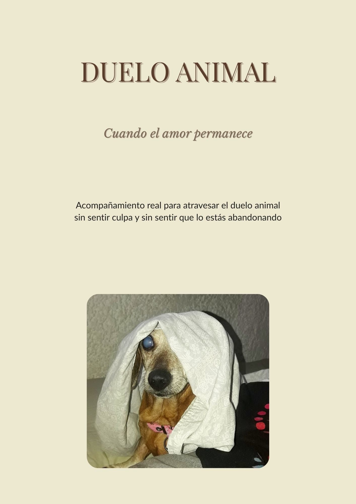 Dulce Miel, mi huella